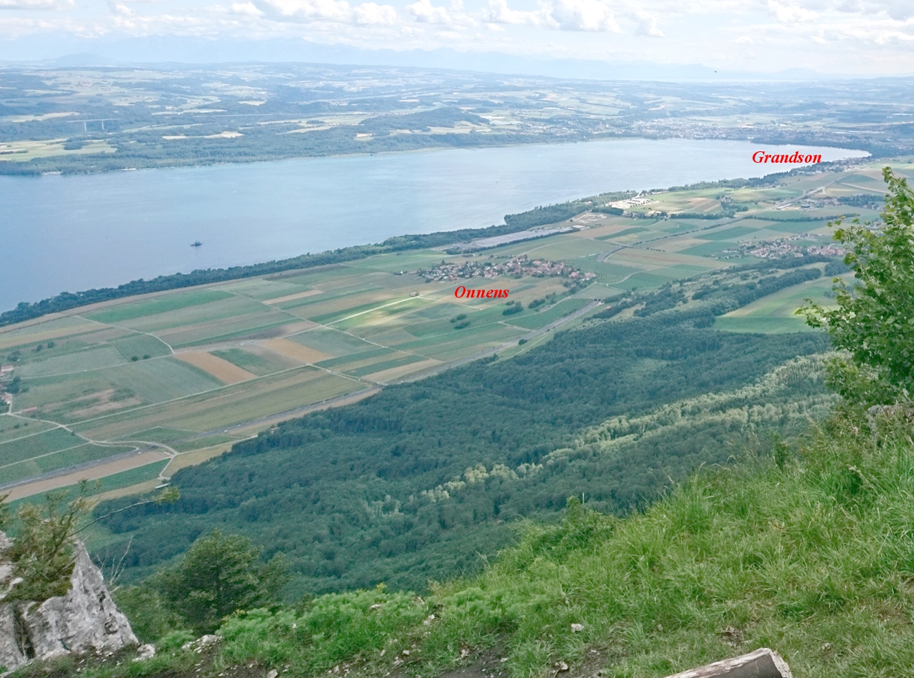 Panorama Grandson